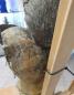 Preview: Holzskulptur "Jesus Christus" 18. Jh. Große Holzbildhauerei