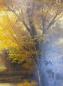 Preview: Ölgemälde "Herbstlandschaft am Fluss, Maler Martin, Schätzpreis 220,- €*
