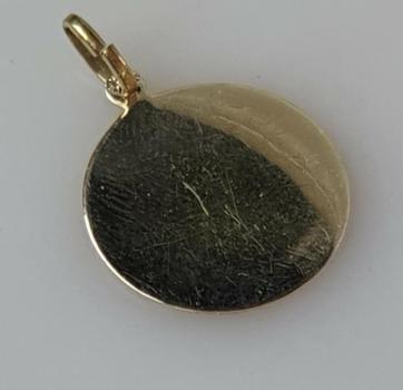 Preview: Sternzeichenanhänger "Steinbock" aus 333er Gold, Gewicht: 2,0g