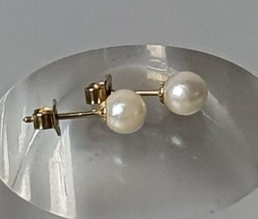 Perlenohrstecker Rund Weiß,, 585er Gold, Gewicht: 1,2g