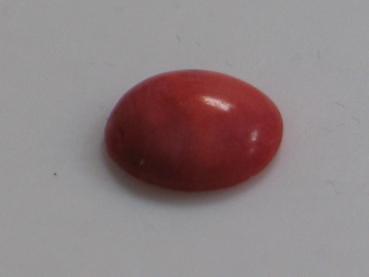 Koralle , Rund, Cabochon Masse (L/B/H): 6,96 x 2,26 mm - 0.77 ct.