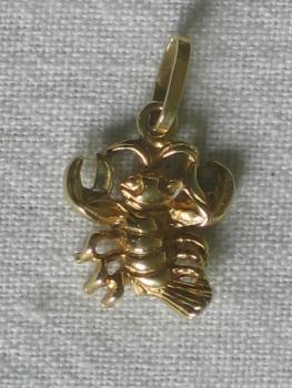 Anhänger Skorpion aus 585er Gold, Gewicht: 0,8g