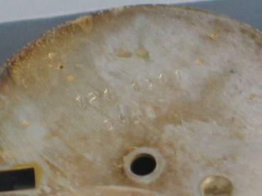 Original goldfarbenes Zifferblatt für Rolex Herren Datejust 36 mm in Alubox