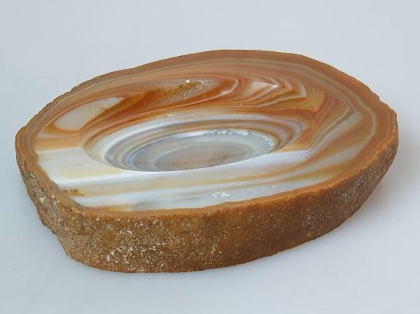 Schale aus versteinertem Holz 9,0 x 11,0 cm Höhe 2,0 cm, bräunlich, Gewicht: 362,0g