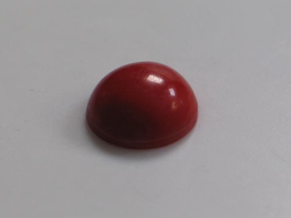 Koralle , Rund, Cabochon Masse (L/B/H): 11,13 x4,88 mm - 4.3 ct.