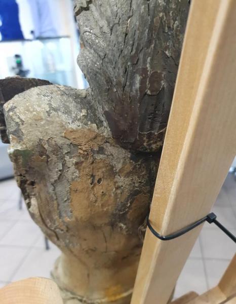 Holzskulptur "Jesus Christus" 18. Jh. Große Holzbildhauerei